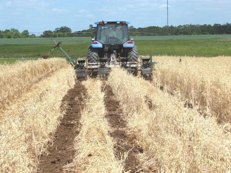 This system is intensive and a farmer can often make as much profit on a 400 acre sod/row crop/livestock farm as on 1000-2800 acres of row crops.