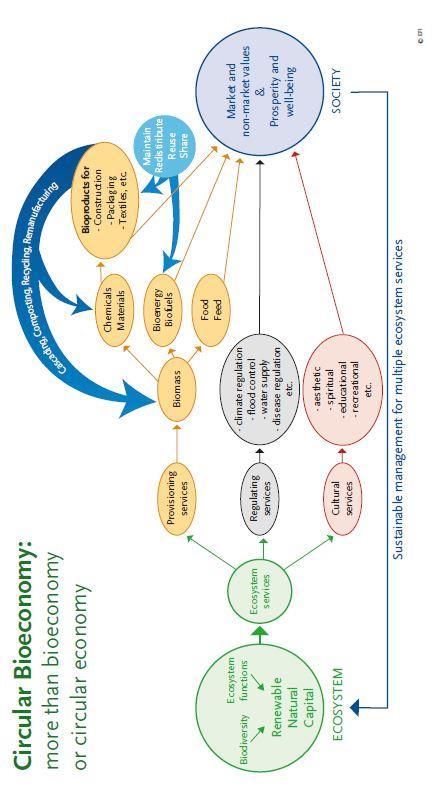 Circular bioeconomy one of the solutions Source: Leading