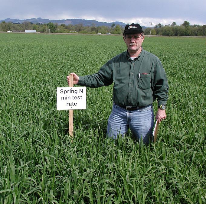 EM 92 November 21 Using the Nitrogen Mineralization Soil Test to Predict Spring Fertilizer N Rate for Soft White Winter Wheat Grown in Western Oregon Nicole P. Anderson, John M. Hart, Neil W.