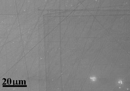 Plasma cleaning results: SEM (EDX) The benefits of plasma cleaning are not solely applicable to TEM.