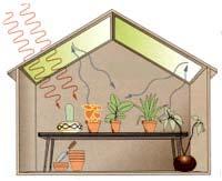 http://wise4.telscenter.org/vlewrapper/vle/vle.html?loadscriptsindividua... A greenhouse is a house that traps energy from the sun to help plants grow.