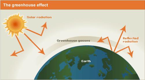 Mitosis http://wise4.telscenter.org/vlewrapper/vle/vle.html?loadscriptsindividua... The Greenhouse Effect occurs naturally and has kept the Earth's temperature about 60 degrees Fahrenheit (15.