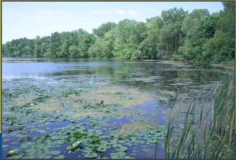 Shallow lakes have two typical states 2.