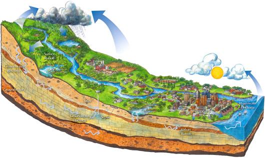 A watershed is an area of land from which all of the storm water that it