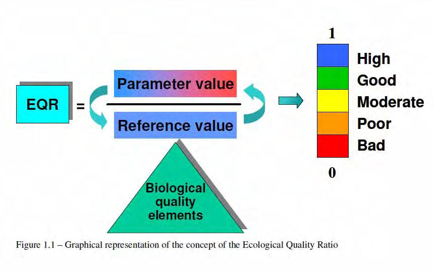 Ecological Quality Ratio (EQR) Reference