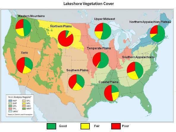 Poor Biology is Three Times More Common when Lakeshore Habitat is Poor Regional summary: Northern Plains, Coastal Plains and Xeric have highest proportion of lakes with poor