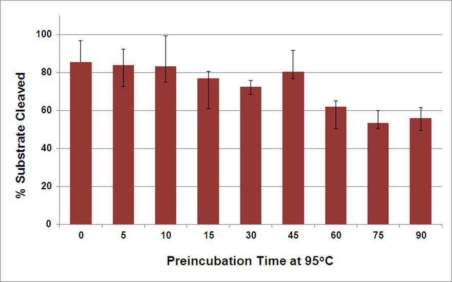 Pyrococcus abyssi RNase H2 is Very Thermostable 34 The enzyme can be incubated at 95 C for >45