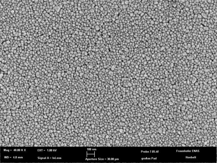 Silver Nano Particles for