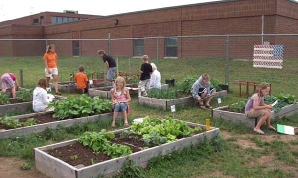 Goals of Wisconsin Farm to School Strengthen children s and communities knowledge