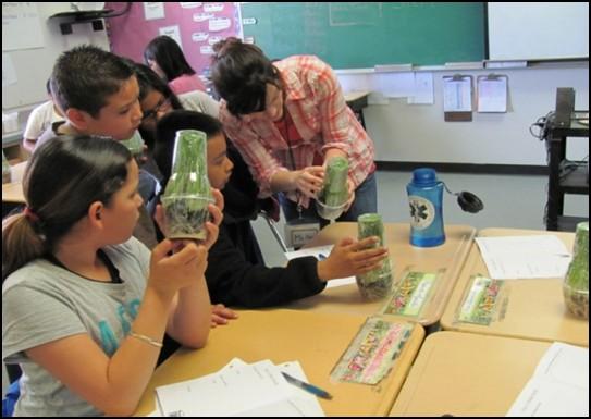 Wheat Week is a series of five lessons, delivered over the course of one week, which educate 4th-6th grade students about water, soil, watersheds,