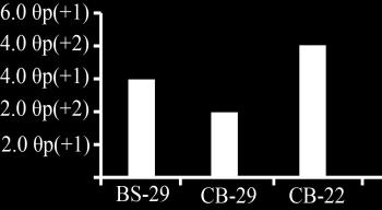 (a) BS-29: Crack initiation at +3.0θp (b) CB-29: Crack progress with width of 0.9mm (c) CB-22: No crack Fig.