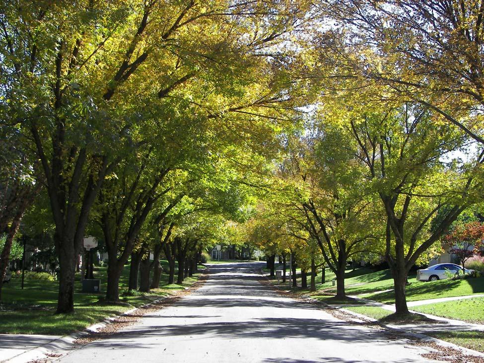 Emerald Ash Borer Action Plan City of Overland Park, Kansas