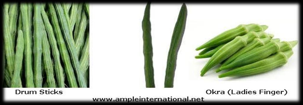 Drumstick We are one of the chief producers and exporters of Fresh Green Drumsticks to the clients in India & Overseas.