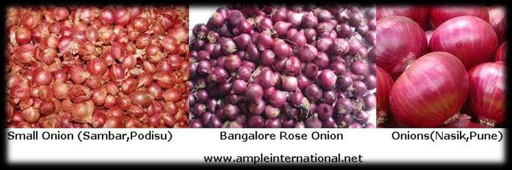 Onion We are one of the chief traders and exporters of Onion (Small onions, Bangalore rose onions, Nasik- Pune onions) to our clients in India & Overseas.