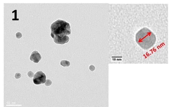 Figure S4. Representative TEM images of the bare CuxO-NP with different CCu. 1: CCu = 1 wt%. 2: CCu = 5 wt%.