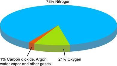 Composition of the Earth s Nitrogen (78%) Oxygen (21%) Carbon Dioxide (CO2) and other trace gases (1%) Methane Nitrous Oxide Water Vapor Atmosphere 1% CO2 and other trace gases 78% Nitrogen 21%