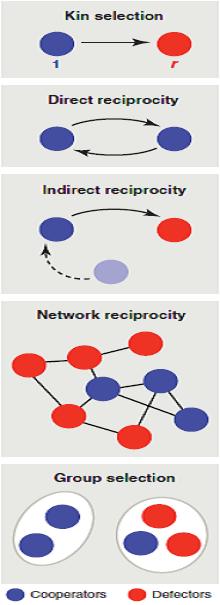 Why do we cooperate? Why do we cooperate, if not cooperate is always the better alternative? Which reasons/scenarios make cooperation the better alternative?
