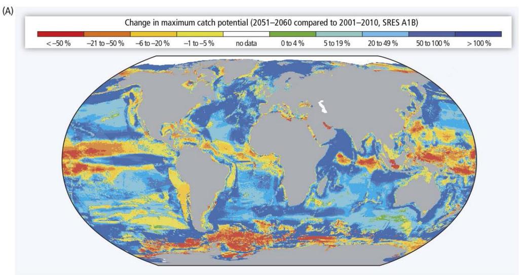 Societal Impacts of Climate Change Ocean productivity Disease range spread Pest