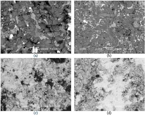 Result and Discussion Figure 1 illustrates the SEM surface micrographs of the examined coatings. In coatings dark spots corresponded to the polymer.