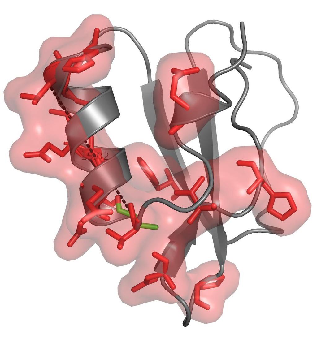 In previou work, we have hown that thi probabilitic modeling accurately compute the global propertie of the conformational ditribution in protein 9 11 and protein