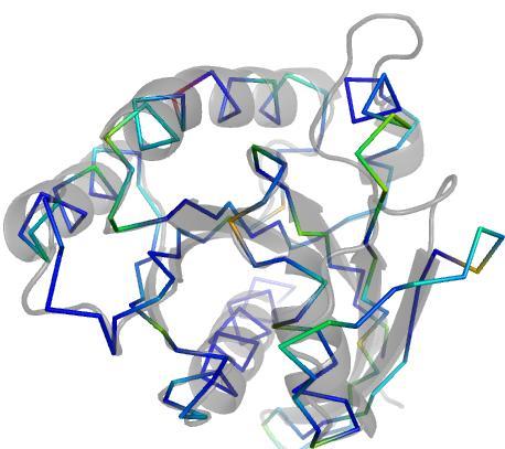 Notice that a ingle mutation can induce change throughout the protein. Thi phenomenon i not unique to eglin C, nor doe it require mutation.