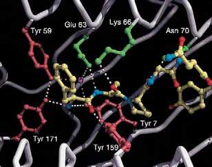Careful studies of the binding sites on virtual (computerized) proteins have enabled chemical engineers to design virtual drugs that fit those sites and potentially interfere with binding.