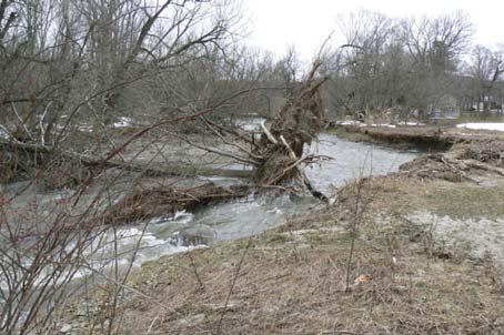 Trees and debris above bridge from March