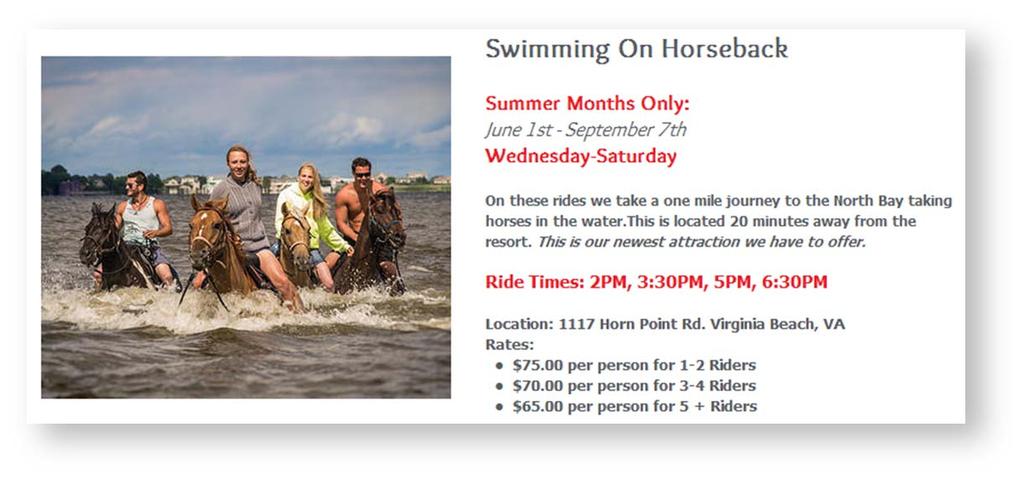 SWIMMING WITH HORSES ONLINE