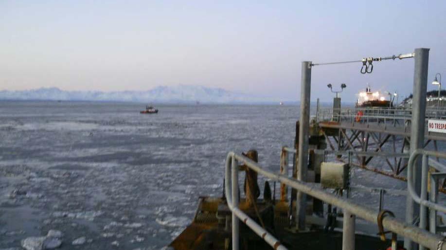 Figure 13. Looking North from the LNG Terminal Pier, Bluffs Reduce Winter Winds.