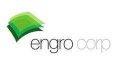 Business Ventures 100% Engro 100% Fertilizers 100%