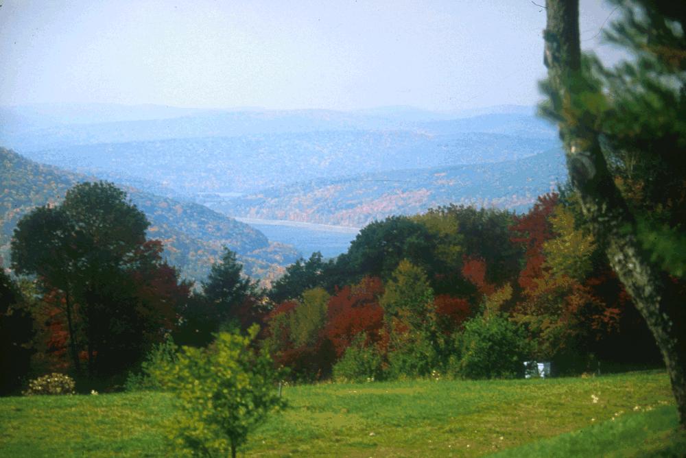 CATSKILL/DELAWARE SUPPLIES Rural, mountainous watershed 1 million acres 80% forested, low population,