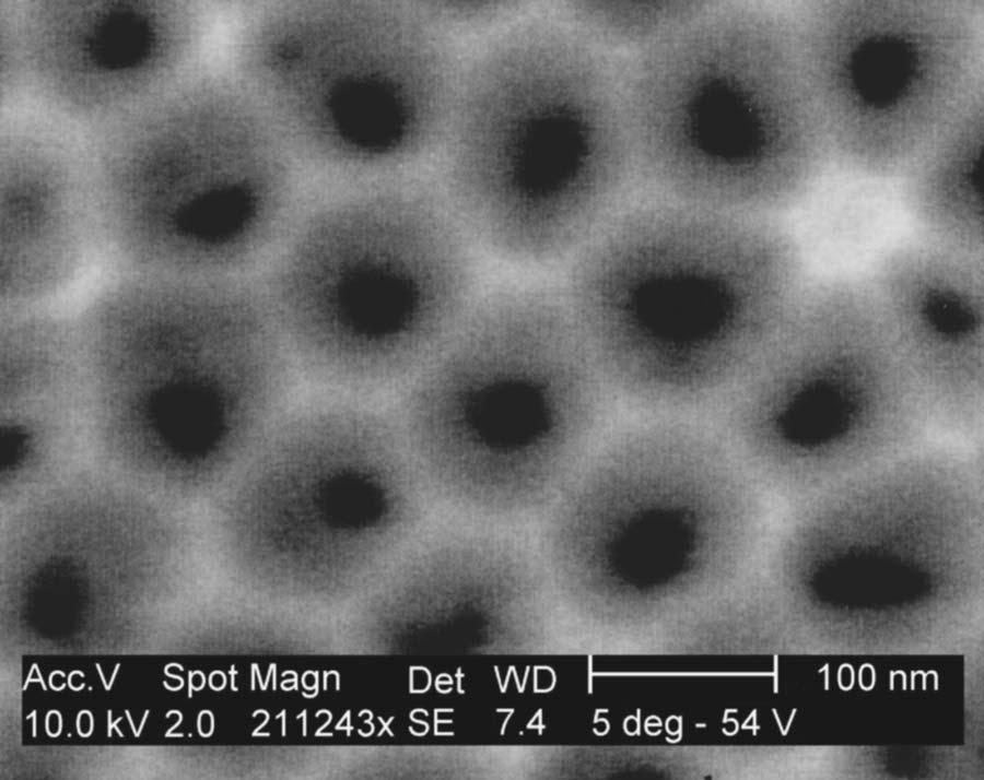104909-3 Lazarowich et al. J. Appl. Phys. 101, 104909 2007 FIG. 4. SEM image of the top surface of a porous alumina fabricated on a QCM. The anodization temperature was 5 C and the voltage was 54 V.