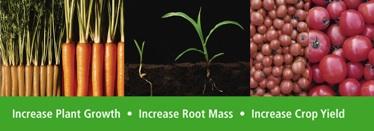 The Advantages of Activating Biochar with BiotaMax tm.
