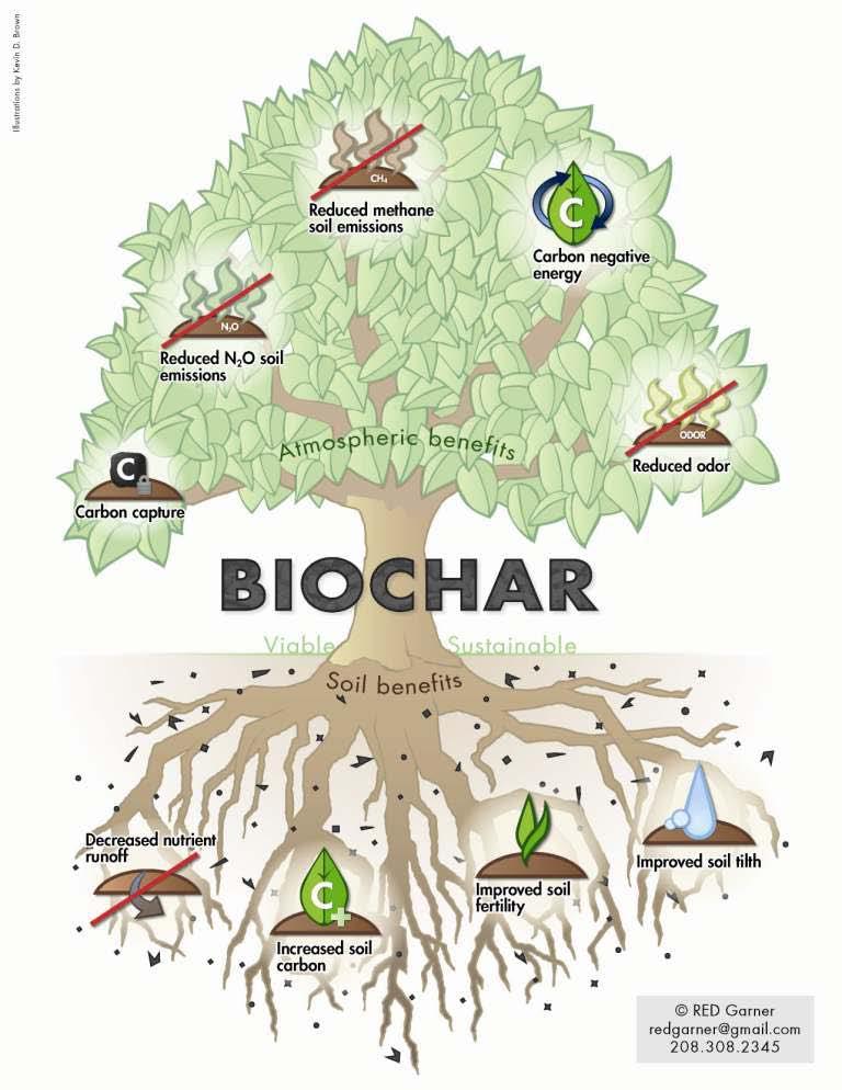 International Biochar Initiative Source: