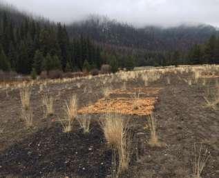 the western US Used biochar, wood chips, and biosolids