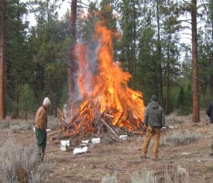 Slash pile burning Significant waste of energy Releases CO 2 and other GHG into the atmosphere