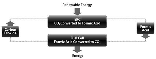 The development of direct formic acid fuel cells (DFAFCs) is likely to be a significant commercially valuable use of formic acid.