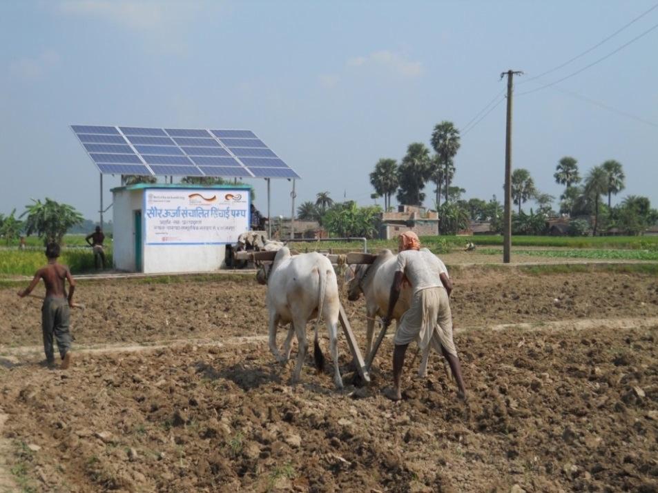 Solar Powered Irrigation Pumps: Opportunities and