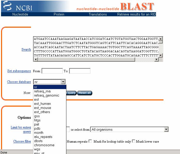 Insert sequence Here we inserted a query sequence into the search window. In this case we are using blastn and the sequence inserted is a nucleotide sequence.