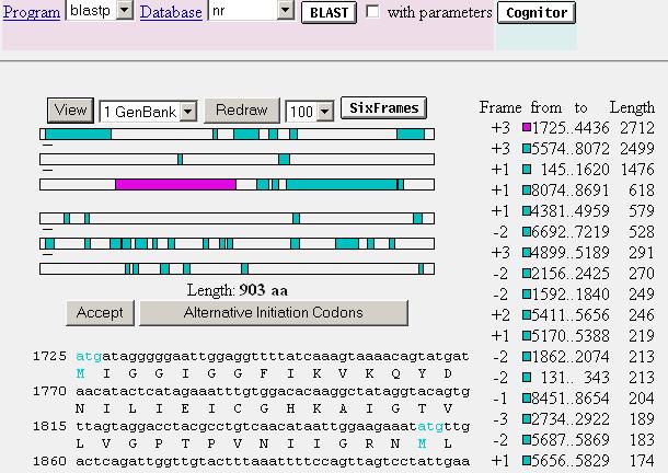 28 AN INTRODUCTION TO BIOINFORMATICS FOR BIOLOGICAL SCIENCES STUDENTS Part 7: Using NCBI s Orf Finder NCBI ORF finder website: http://ncbi.nih.