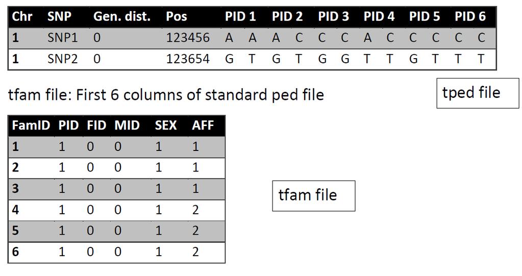 Standard file format