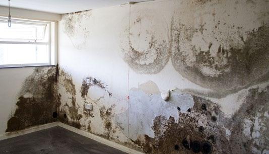 Changing circumstances, such as increased rainfall intensity or cavity wall insulation, can also cause penetrating damp to become a problem even in previously dry properties.