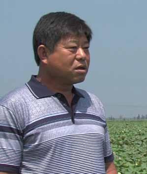 Li Yihua Qianhuozhuang, Xinshengdian, Xiajin Shandong, China I have been growing Bt cotton for eight years.