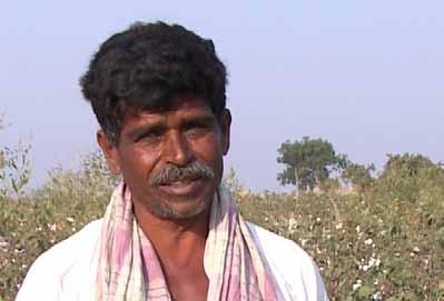 I then bought seeds from the Bureau of Agriculture and began to grow Bt cotton. I also get subsidy as I grow the said variety. Everyone in our village is already planting Bt cotton.