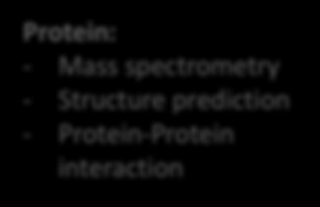 Protein: - Mass spectrometry -