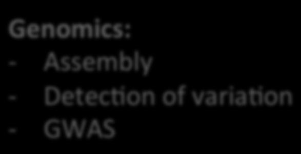 Genomics: - Assembly -