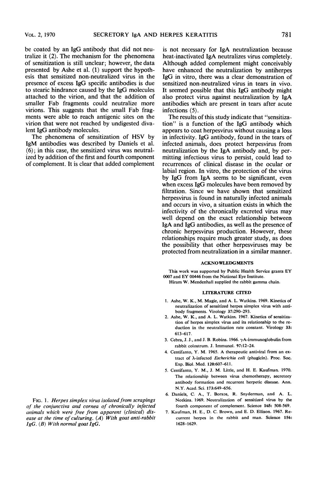 VOL. 2, 1970 SECRETORY IgA AND HERPES KERATITIS 781 be coated by an IgG antibody that did not neutralize it (2).