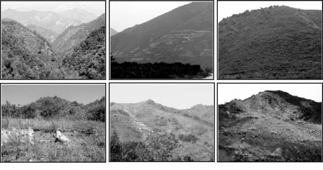 Figure 1: The study area in the Shangnan County in Southern Shaanxi Province The project is located in Shangnan County in the south of Shaanxi province (Figure 1).