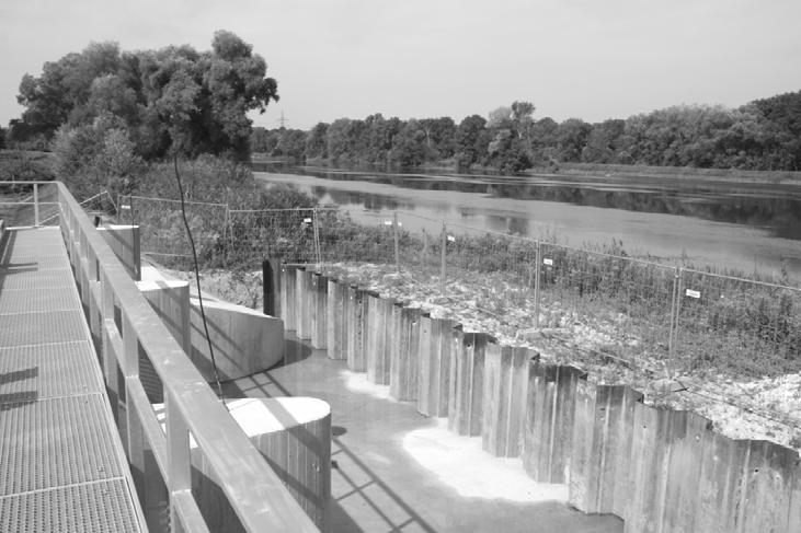 30 m 3 /s will be discharged into the riparian forests of the Danube floodplain between