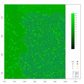 (hybridization dynamics) bundle quality We have developed an analysis package beadarray in R in the